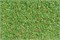 60822 Присыпка светло-зелёная (цветочный луг), 70г - фото 13251